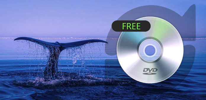 dvd ripper for mac 30 day free trial